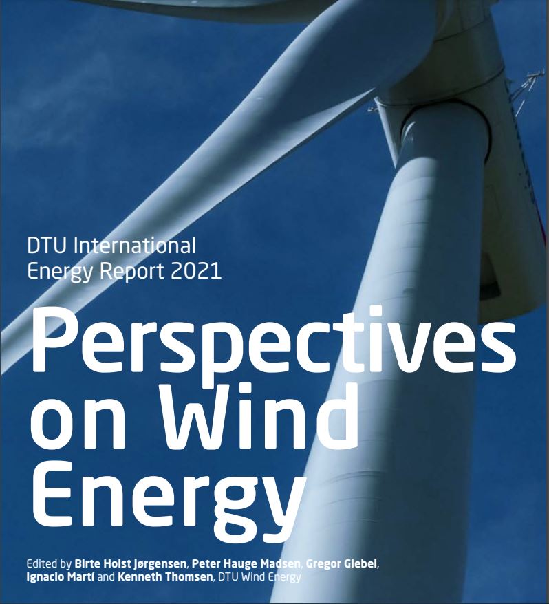 DTU International Energy Report 2021